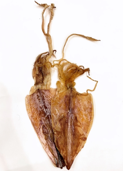 Ảnh của Khô mực A Tú